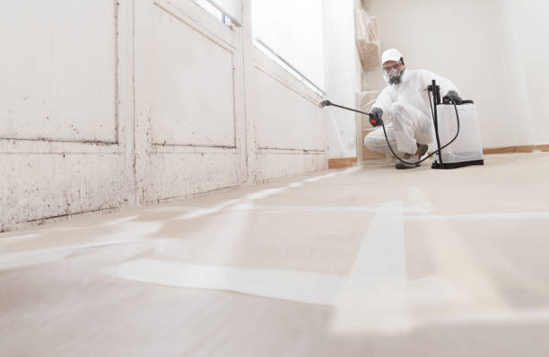 24/7 Emergency Crawl Space Mold Removal experts in Bellevue, WA