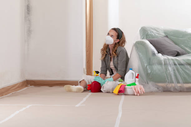 Trusted Crawl Space Mold Removal service in Bellevue, WA - Cheap Mold Removal